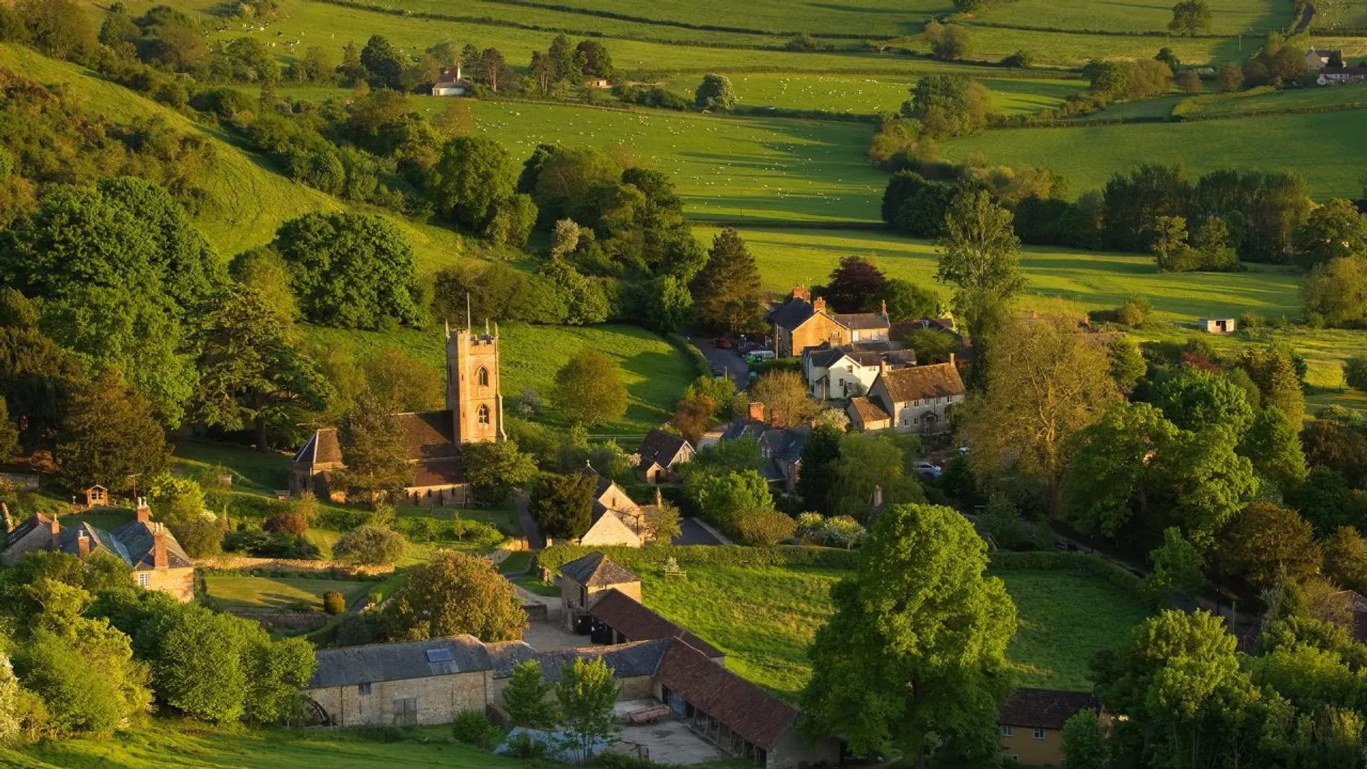 How Fiber Internet Transforms Rural Economies and Reduces the Digital Divide